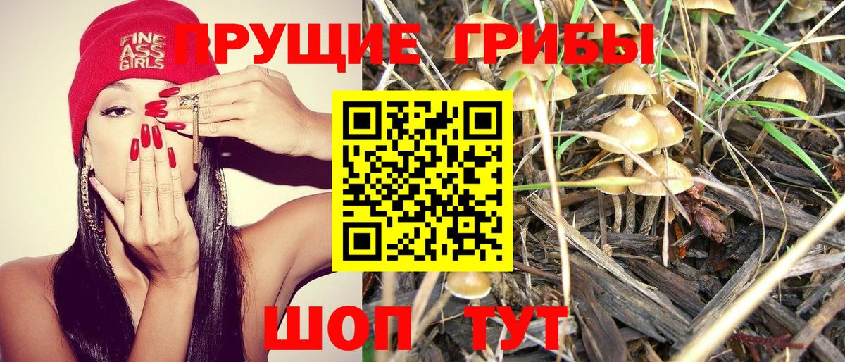 Асбест  Галлюциногенные грибы MAGIC MUSHROOMS  Вход с VPN 